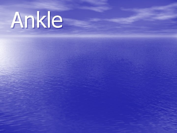 Ankle 