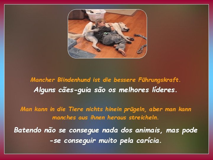 Mancher Blindenhund ist die bessere Führungskraft. Alguns cães-guia são os melhores líderes. Man kann