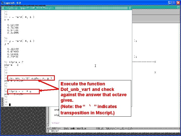 Execute the function Dot_unb_var 1 and check against the answer that octave gives. (Note: