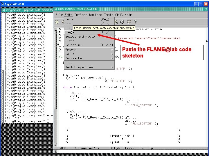 Paste the FLAME@lab code skeleton 