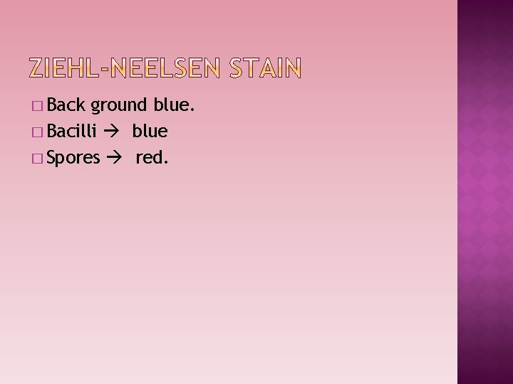 � Back ground blue. � Bacilli blue � Spores red. 