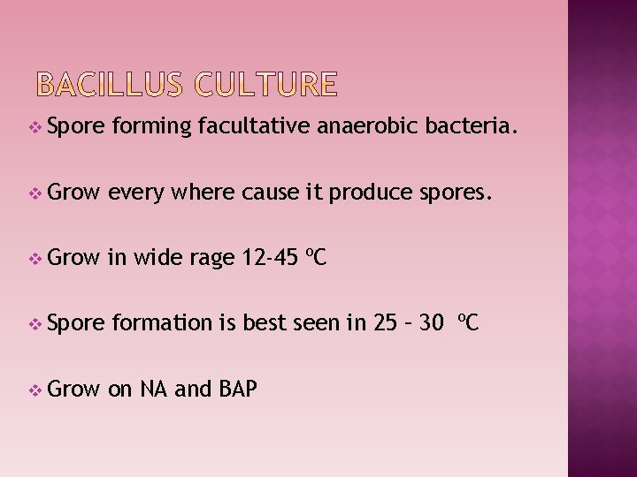 v Spore forming facultative anaerobic bacteria. v Grow every where cause it produce spores.