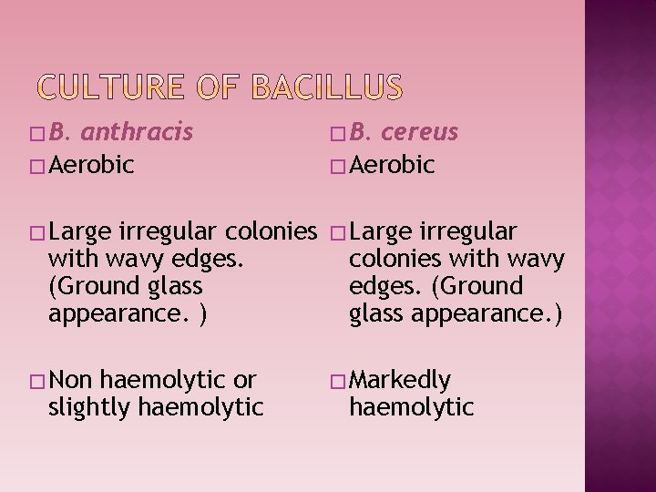 � B. anthracis � Aerobic � B. � Large � Non � Markedly irregular