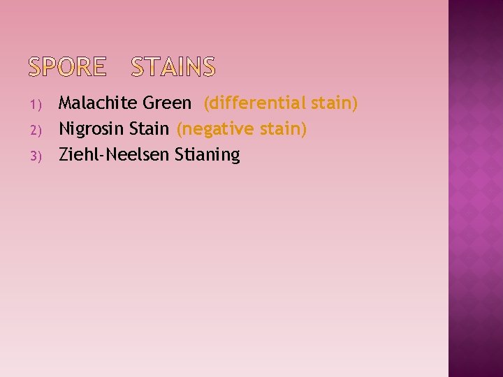 1) 2) 3) Malachite Green (differential stain) Nigrosin Stain (negative stain) Ziehl-Neelsen Stianing 