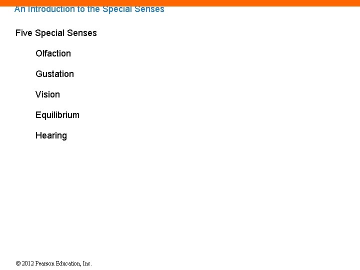 An Introduction to the Special Senses Five Special Senses Olfaction Gustation Vision Equilibrium Hearing