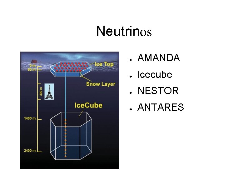 Neutrinos ● AMANDA ● Icecube ● NESTOR ● ANTARES 