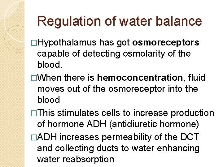 Regulation of water balance �Hypothalamus has got osmoreceptors capable of detecting osmolarity of the