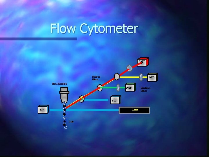 Flow Cytometer PMT Dichroic Filters PMT Flow Manifold PMT Bandpass Filters SSC Laser FSC