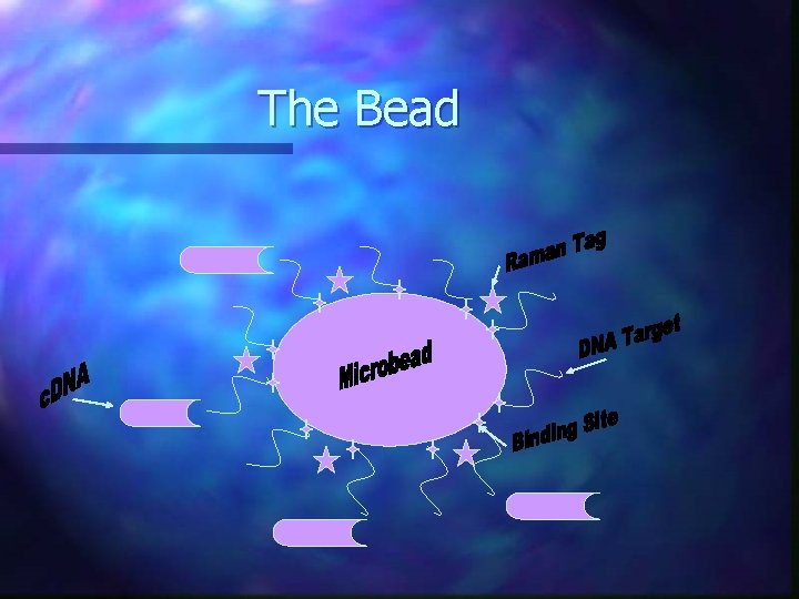 The Bead 
