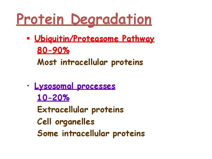 Protein Degradation § Ubiquitin/Proteasome Pathway 80 -90% Most intracellular proteins • Lysosomal processes 10