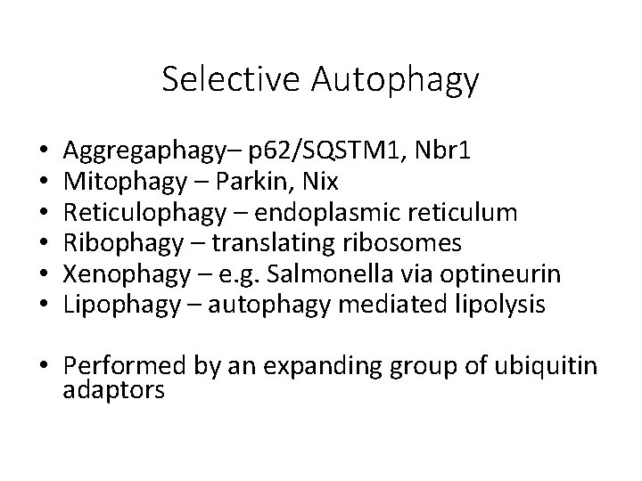 Selective Autophagy • • • Aggregaphagy– p 62/SQSTM 1, Nbr 1 Mitophagy – Parkin,