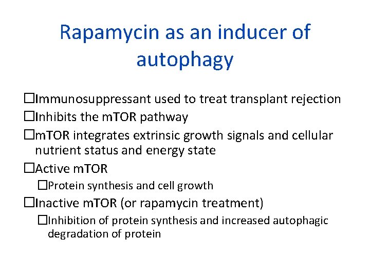 Rapamycin as an inducer of autophagy �Immunosuppressant used to treat transplant rejection �Inhibits the