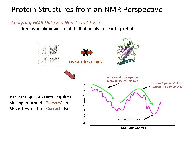 Protein Structures from an NMR Perspective Analyzing NMR Data is a Non-Trivial Task! there