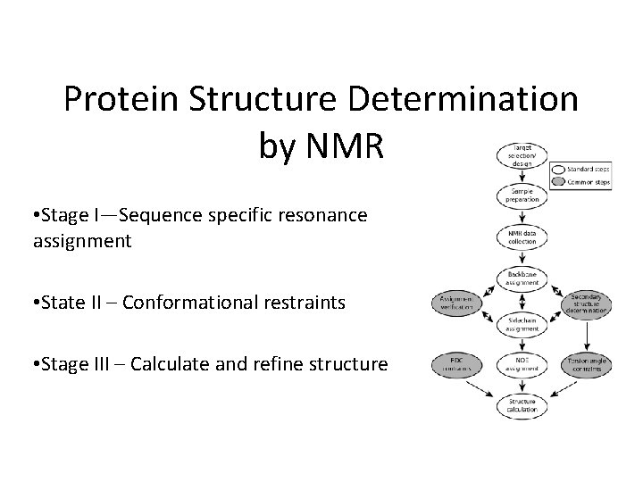 Protein Structure Determination by NMR • Stage I—Sequence specific resonance assignment • State II