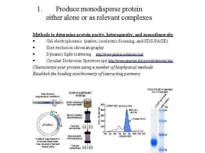 1. Produce monodisperse protein either alone or as relevant complexes Methods to determine protein