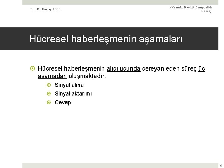 Prof. Dr. Bektaş TEPE (Kaynak: Biyoloji, Campbell & Reece) Hücresel haberleşmenin aşamaları Hücresel haberleşmenin