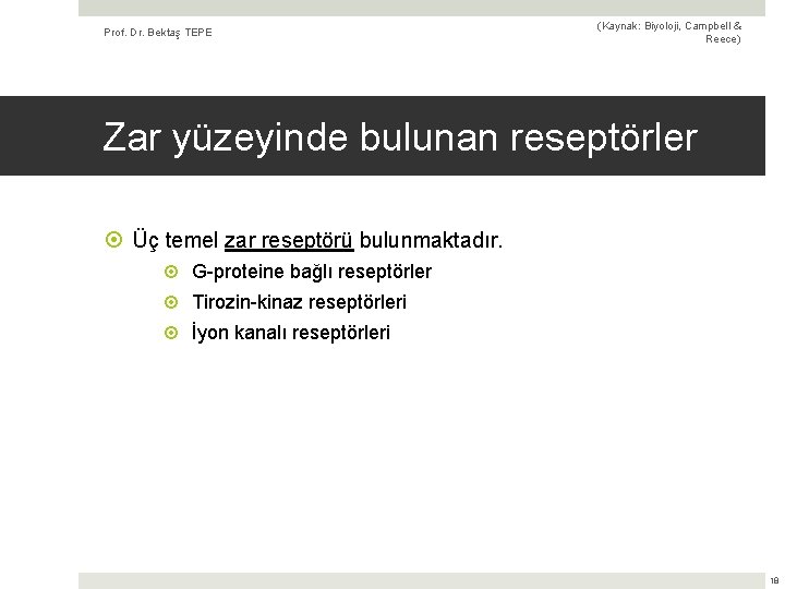 Prof. Dr. Bektaş TEPE (Kaynak: Biyoloji, Campbell & Reece) Zar yüzeyinde bulunan reseptörler Üç