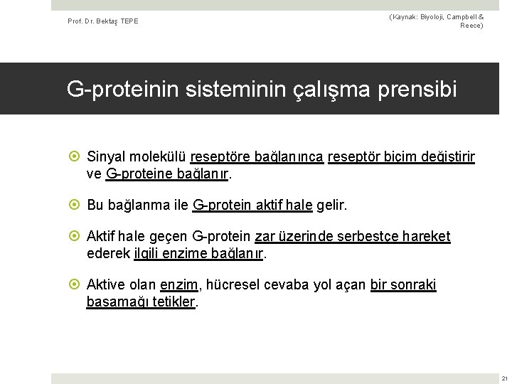 Prof. Dr. Bektaş TEPE (Kaynak: Biyoloji, Campbell & Reece) G-proteinin sisteminin çalışma prensibi Sinyal