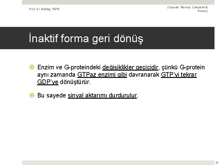 Prof. Dr. Bektaş TEPE (Kaynak: Biyoloji, Campbell & Reece) İnaktif forma geri dönüş Enzim