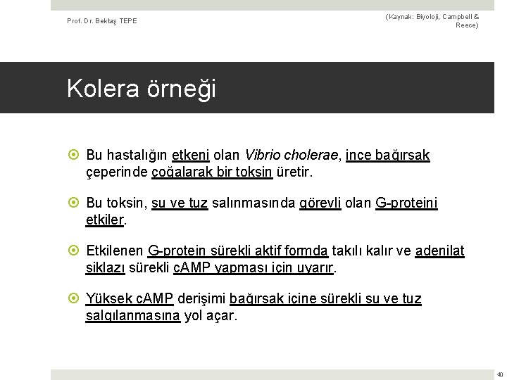 Prof. Dr. Bektaş TEPE (Kaynak: Biyoloji, Campbell & Reece) Kolera örneği Bu hastalığın etkeni