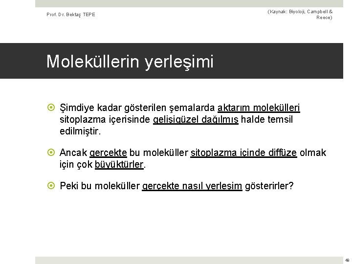 Prof. Dr. Bektaş TEPE (Kaynak: Biyoloji, Campbell & Reece) Moleküllerin yerleşimi Şimdiye kadar gösterilen