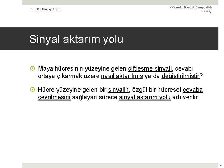 Prof. Dr. Bektaş TEPE (Kaynak: Biyoloji, Campbell & Reece) Sinyal aktarım yolu Maya hücresinin