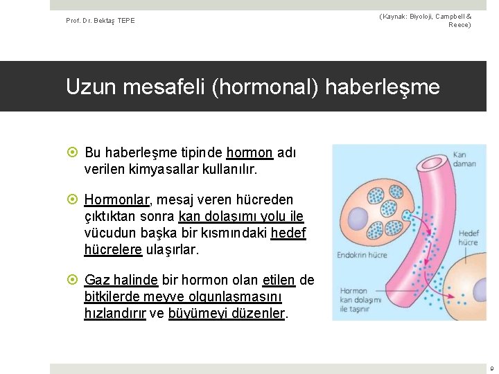 Prof. Dr. Bektaş TEPE (Kaynak: Biyoloji, Campbell & Reece) Uzun mesafeli (hormonal) haberleşme Bu