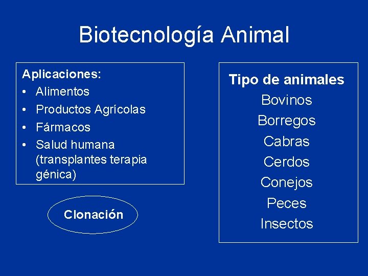 Biotecnología Animal Aplicaciones: • Alimentos • Productos Agrícolas • Fármacos • Salud humana (transplantes