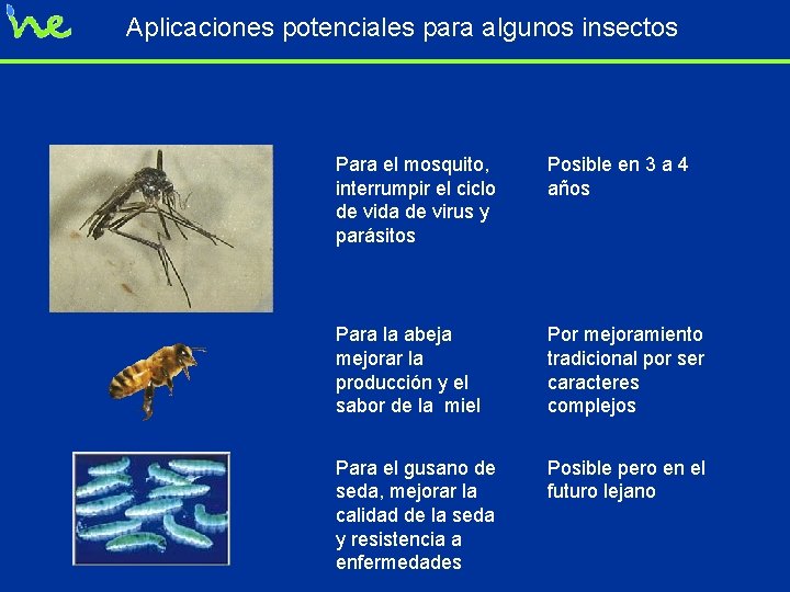 Aplicaciones potenciales para algunos insectos Para el mosquito, interrumpir el ciclo de vida de