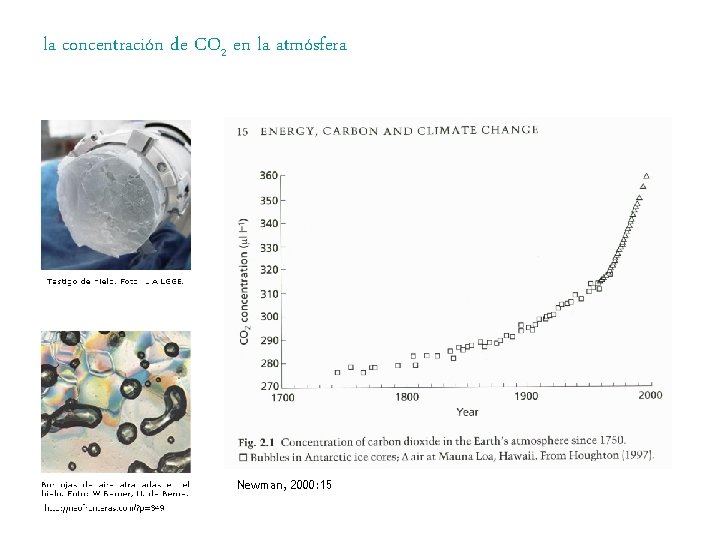 la concentración de CO 2 en la atmósfera Newman, 2000: 15 