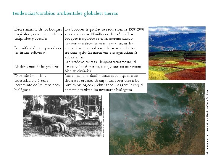 tendencias/cambios ambientales globales: tierras 