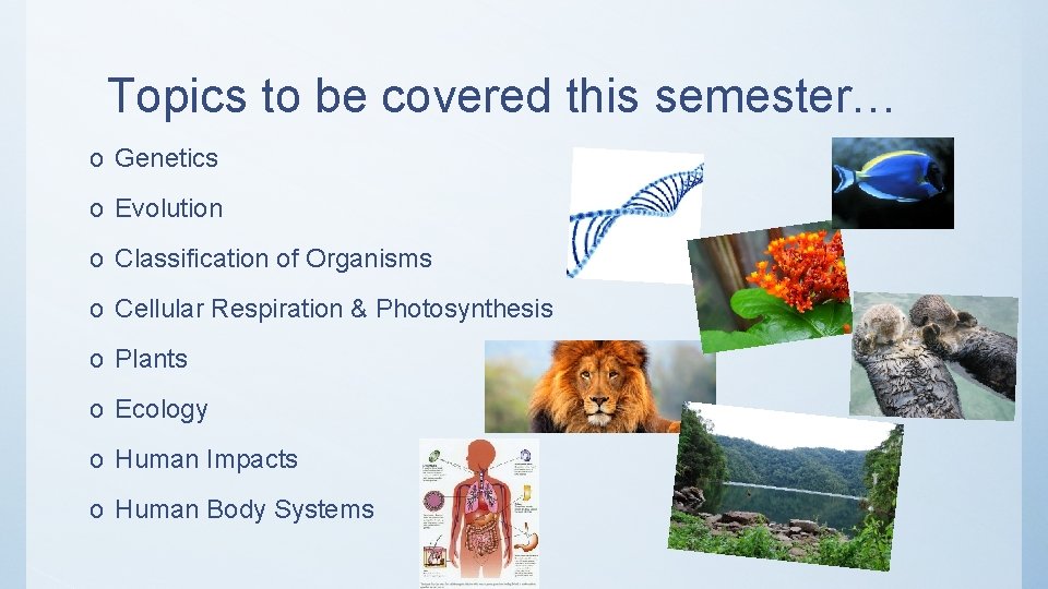 Topics to be covered this semester… o Genetics o Evolution o Classification of Organisms