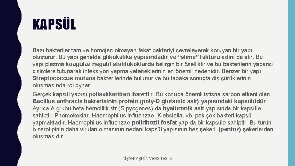 KAPSÜL Bazı bakteriler tam ve homojen olmayan fakat bakteriyi çevreleyerek koruyan bir yapı oluşturur.