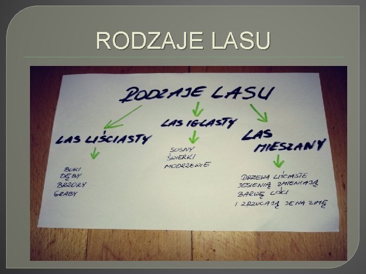 RODZAJE LASU 