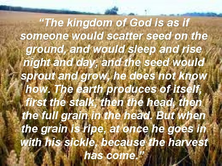 “The kingdom of God is as if someone would scatter seed on the ground,