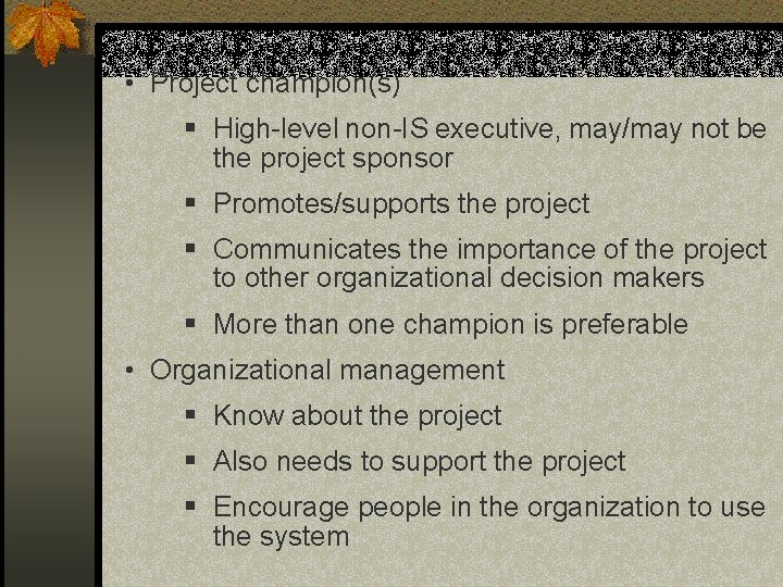 • Project champion(s) § High-level non-IS executive, may/may not be the project sponsor • Project champion(s) § High-level non-IS executive, may/may not be the project sponsor