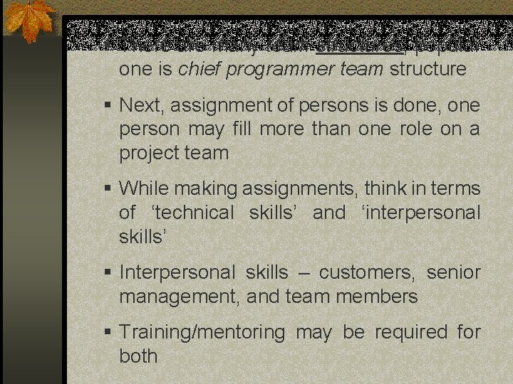 § There are many team structures, popular one is chief programmer team structure § § There are many team structures, popular one is chief programmer team structure §