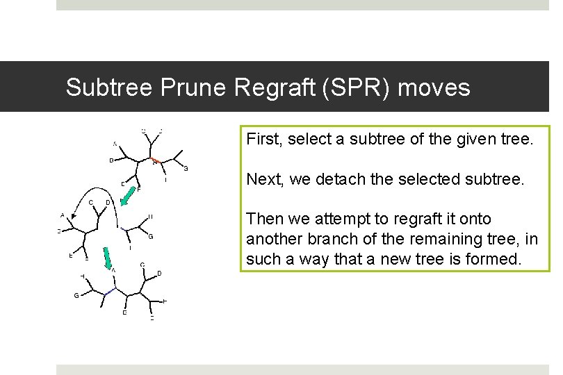 Subtree Prune Regraft (SPR) moves First, select a subtree of the given tree. Next,