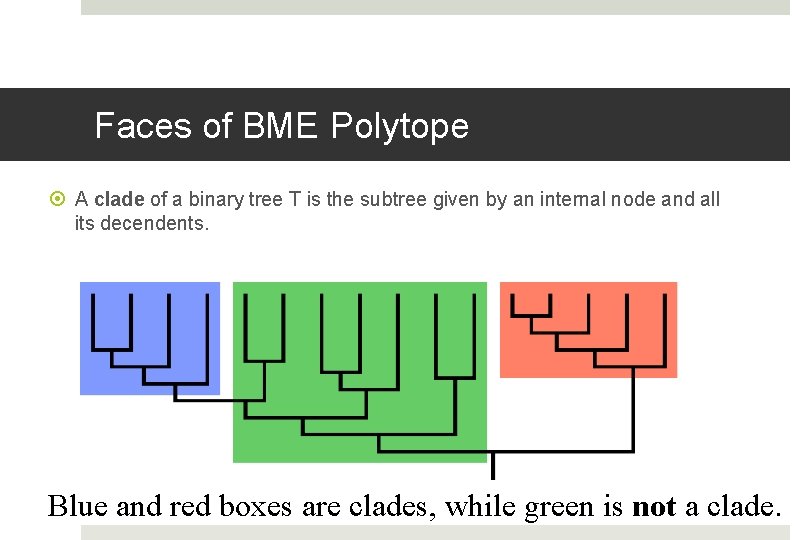 Faces of BME Polytope A clade of a binary tree T is the subtree