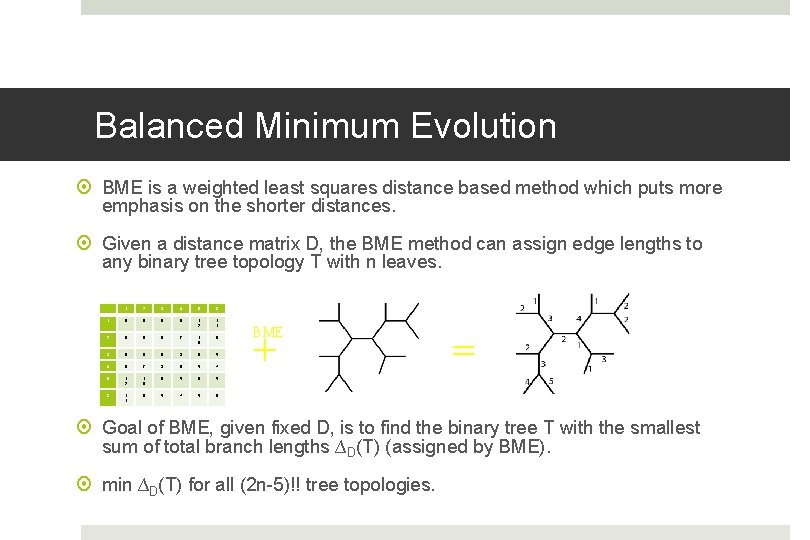 Balanced Minimum Evolution BME is a weighted least squares distance based method which puts