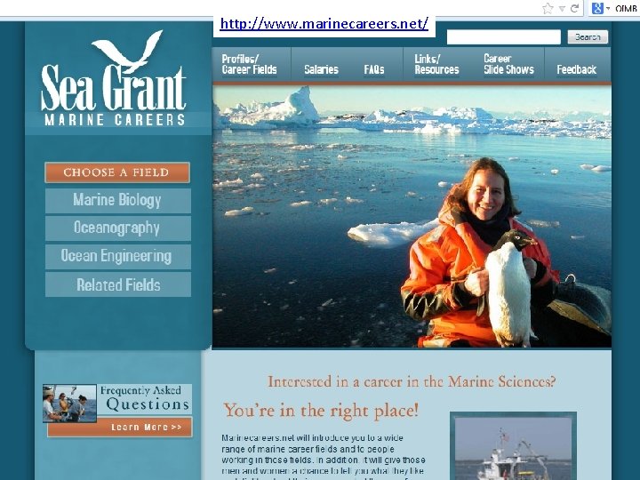 http: //www. marinecareers. net/ 