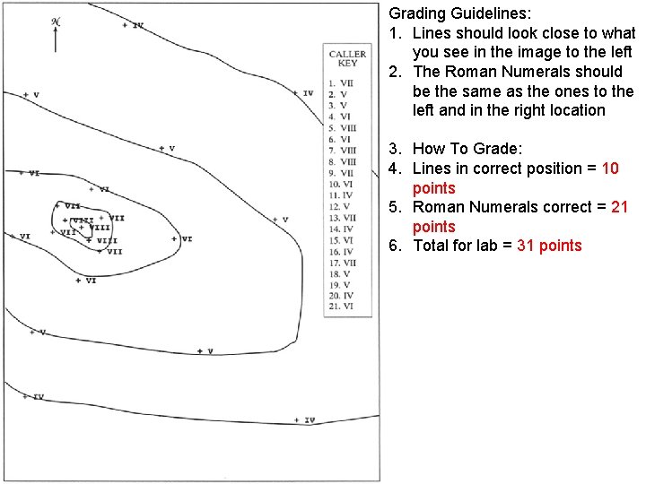 Grading Guidelines: 1. Lines should look close to what you see in the image