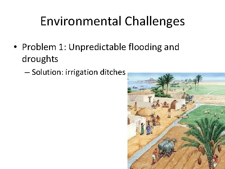 Environmental Challenges • Problem 1: Unpredictable flooding and droughts – Solution: irrigation ditches 