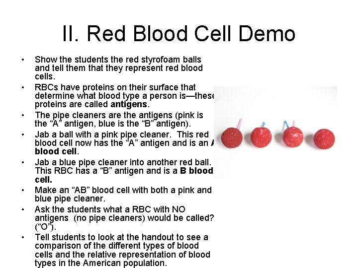 II. Red Blood Cell Demo • • Show the students the red styrofoam balls