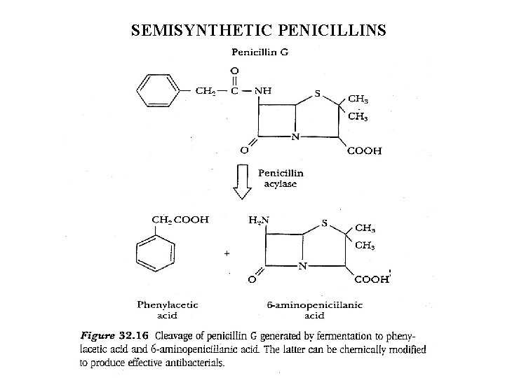 SEMISYNTHETIC PENICILLINS 