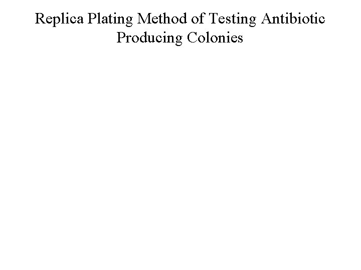 Replica Plating Method of Testing Antibiotic Producing Colonies 