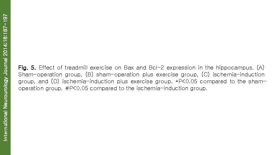 International Neurourology Journal 2014; 18: 187 -197 Fig. 5. Effect of treadmill exercise on