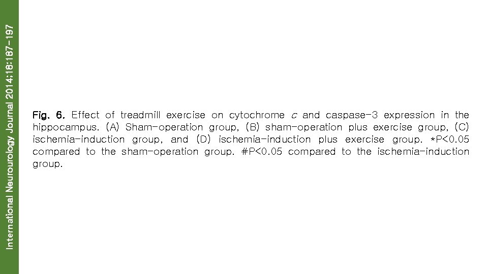 International Neurourology Journal 2014; 18: 187 -197 Fig. 6. Effect of treadmill exercise on