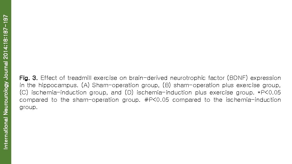 International Neurourology Journal 2014; 18: 187 -197 Fig. 3. Effect of treadmill exercise on