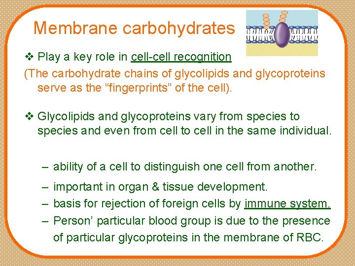 physiology Structure Function of plasma membrane and its